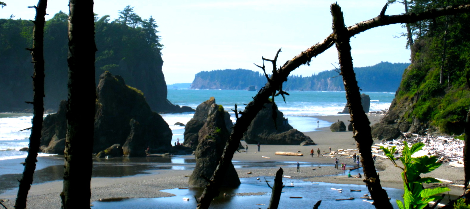 Olympic National Park