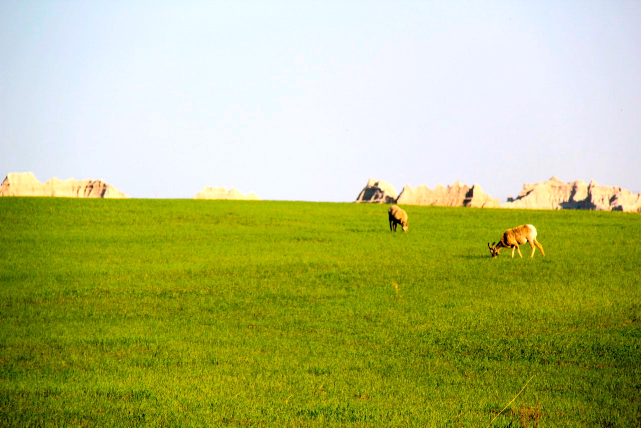 BADLANDS
