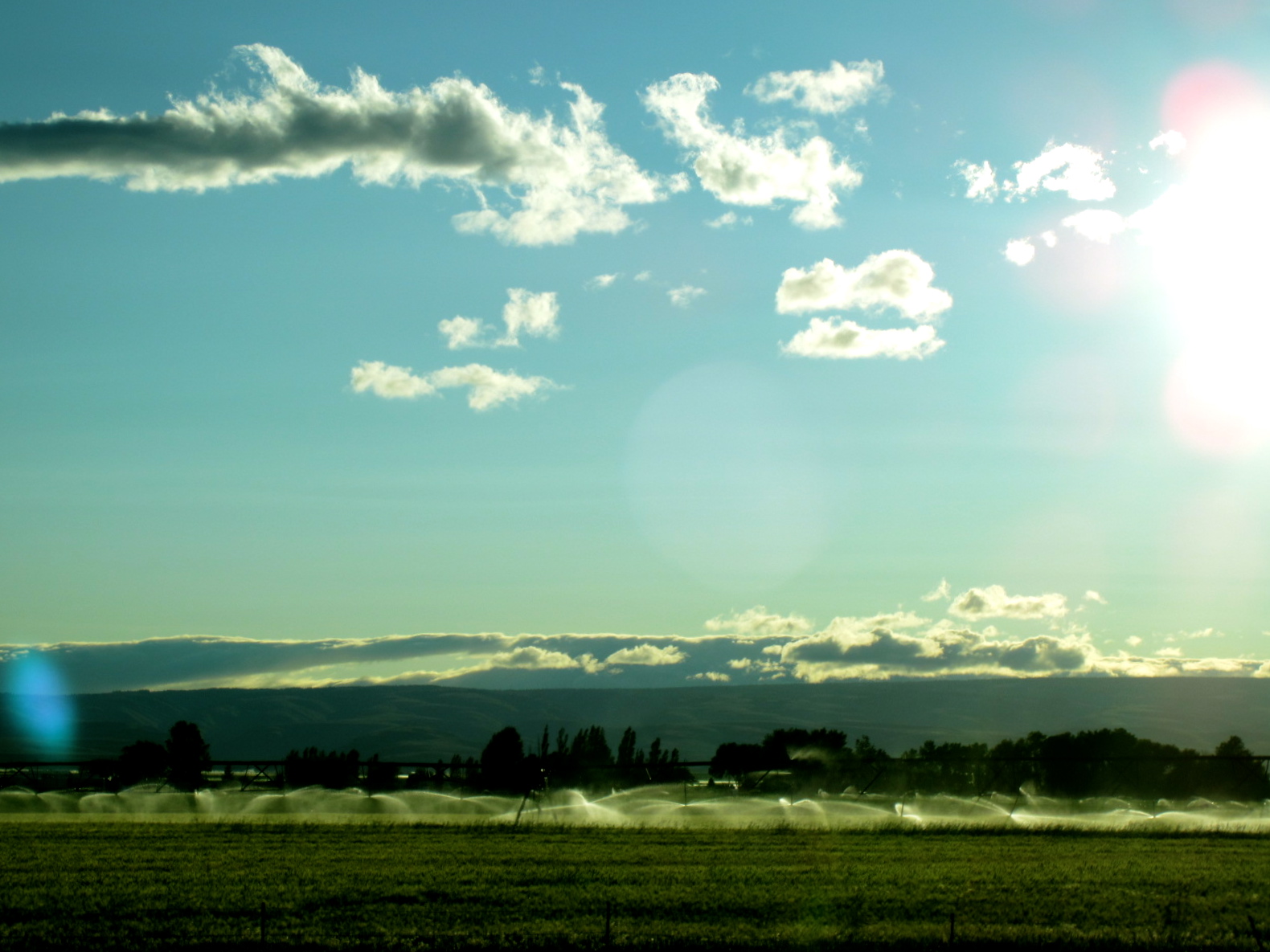 4. Fields of crops WASHINGTON
