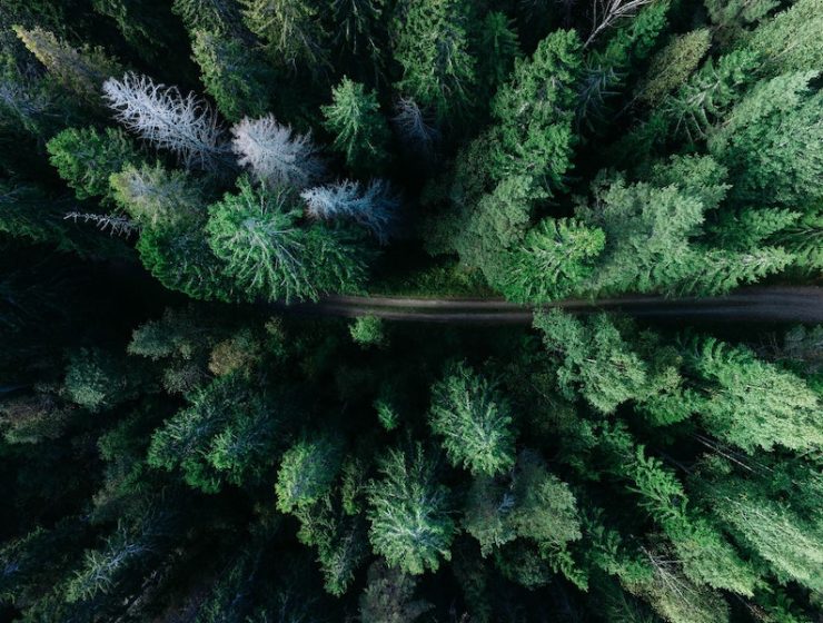 green travel