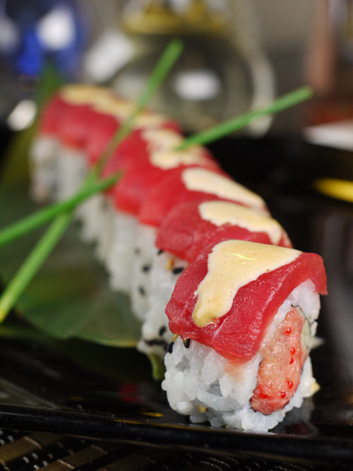 shogun sushi florida tampa