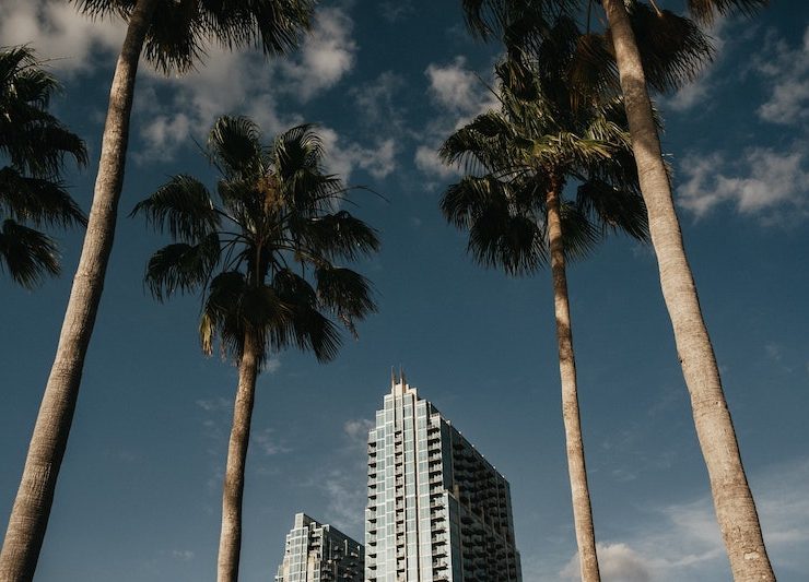 TAMPA FLORIDA