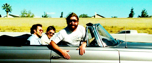 giphy.com hangover