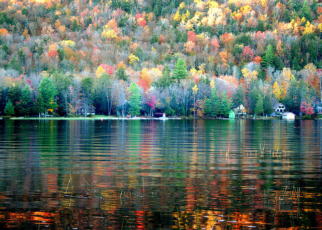 countryfallfoliage