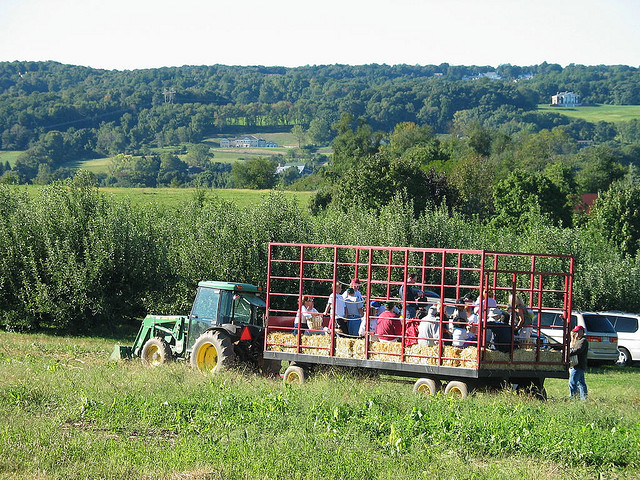 hayride