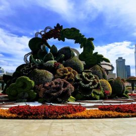 People's Square