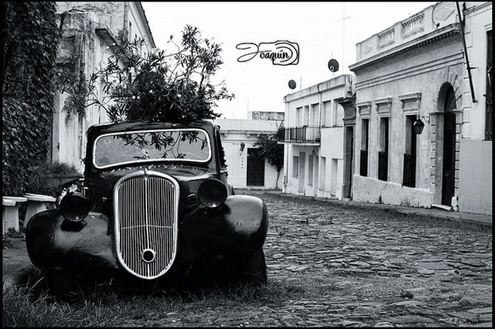 Flickr Joaquin l Uruguay