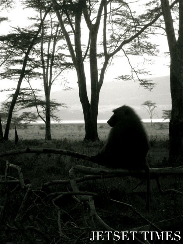 Kenya/Jetset Times