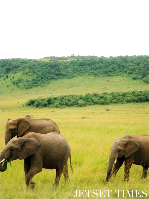 Kenya/Jetset Times