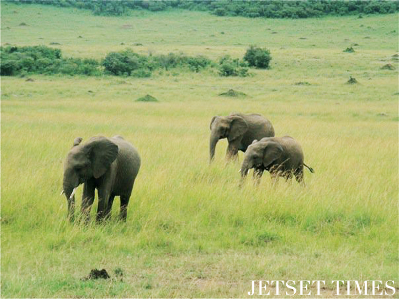 Kenya/Jetset Times