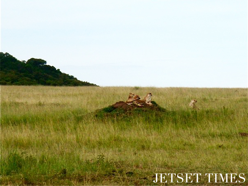 Kenya/Jetset Times