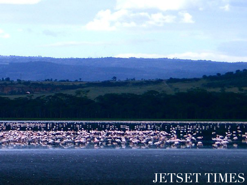Kenya/Jetset Times