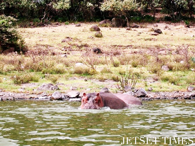 Kenya/Jetset Times