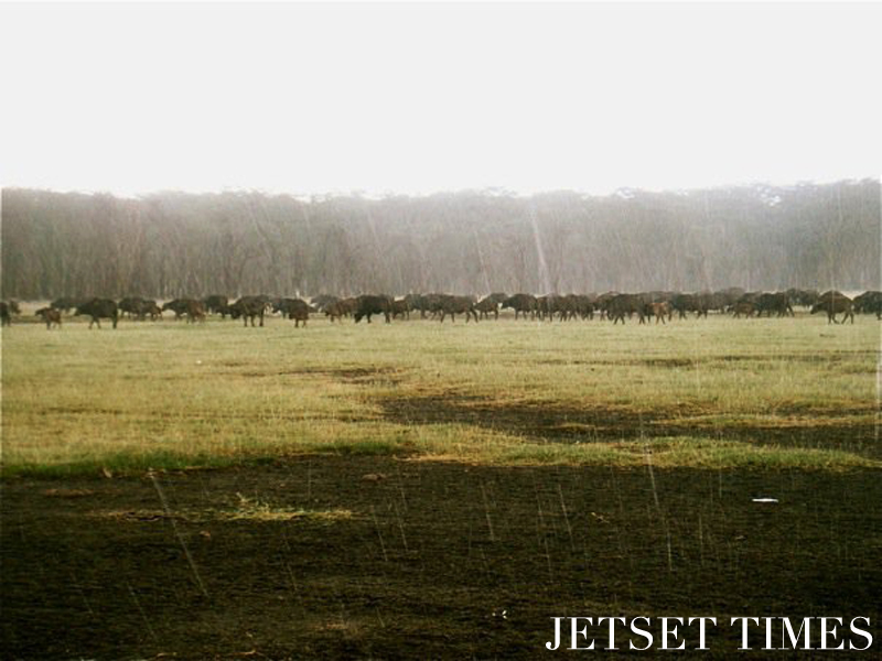 Kenya/Jetset Times