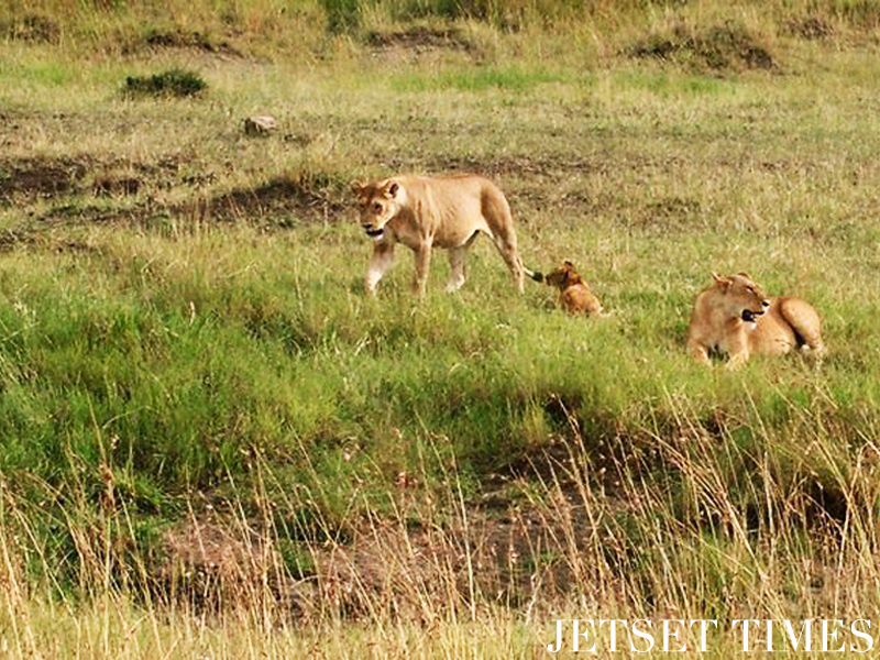 Kenya/Jetset Times