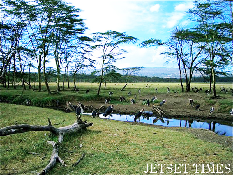 Kenya/Jetset Times