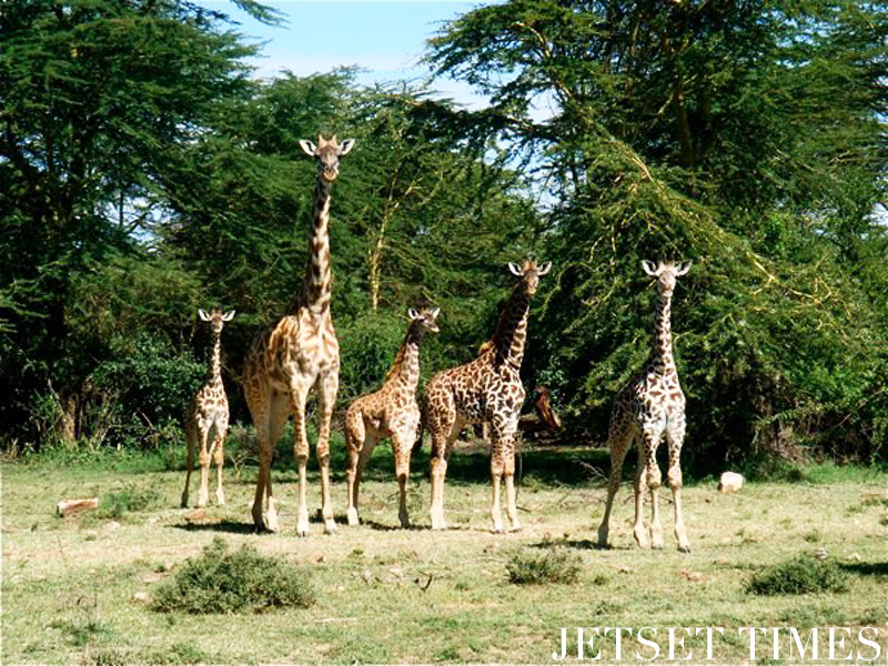 Kenya/Jetset Times