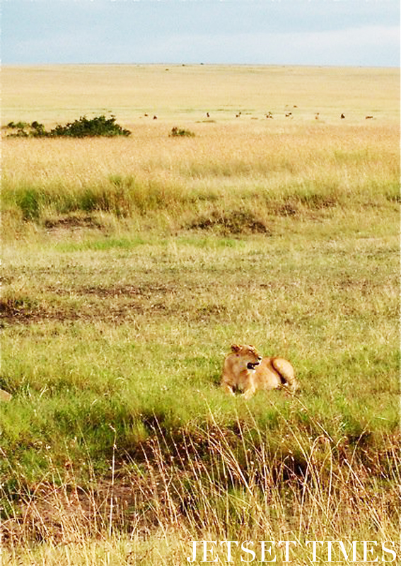 Kenya/Jetset Times