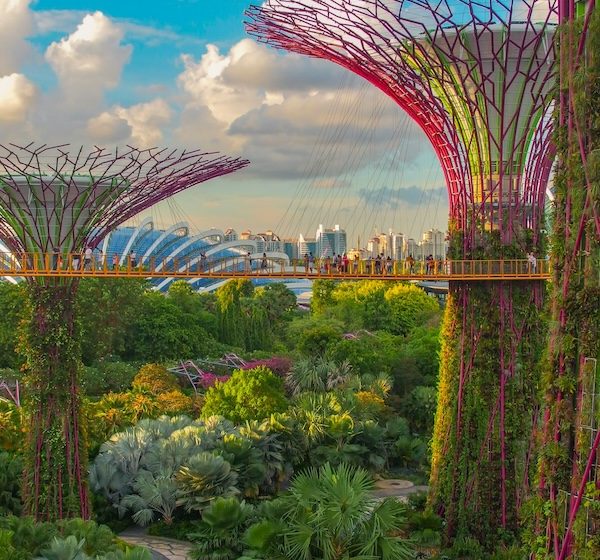 Things do to in Singapore