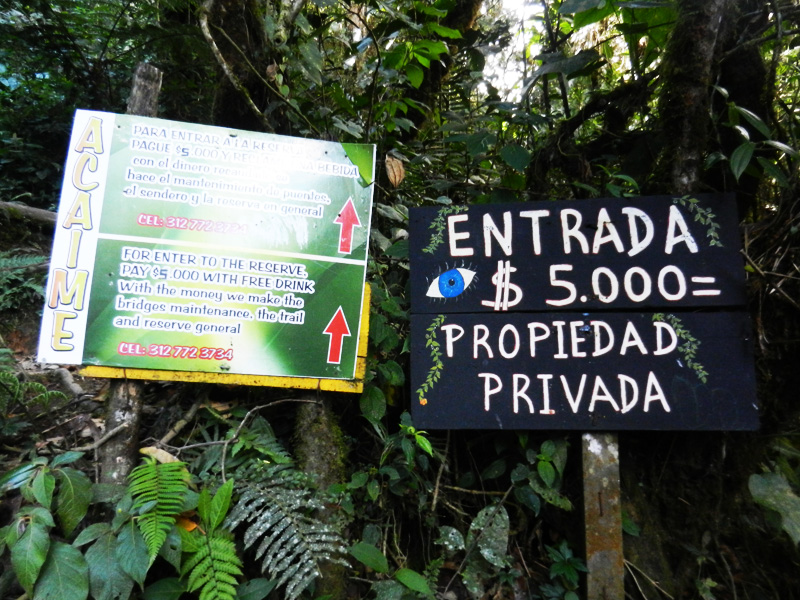 Valle de Cocora