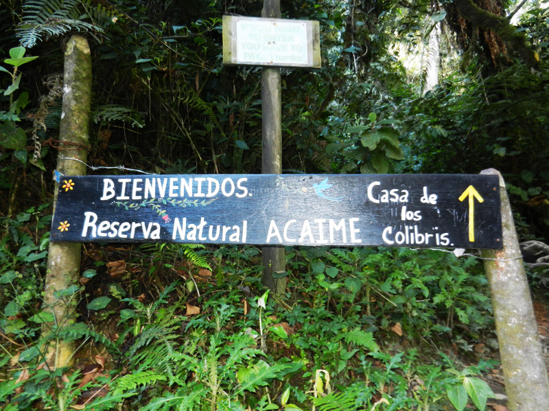 Valle de Cocora