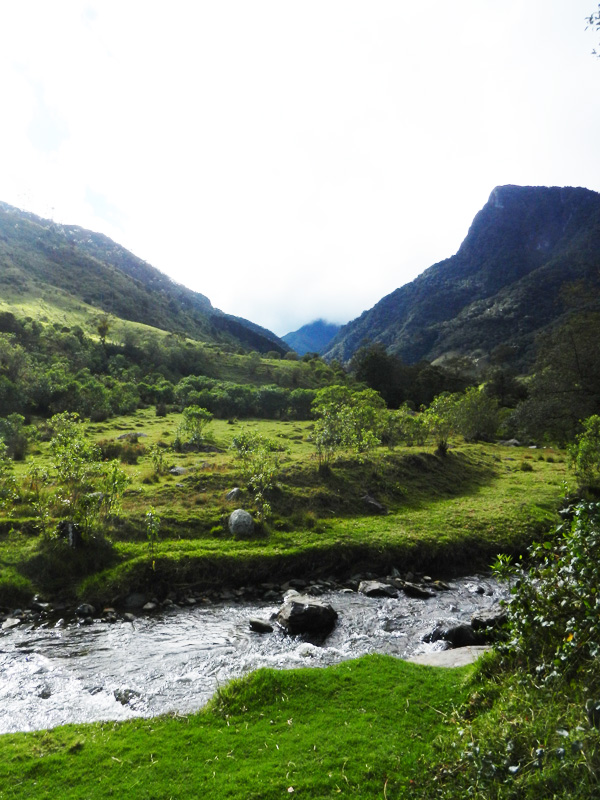 Valle de Cocora