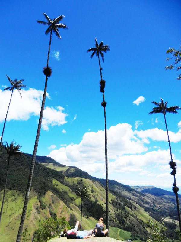 Valle de Cocora