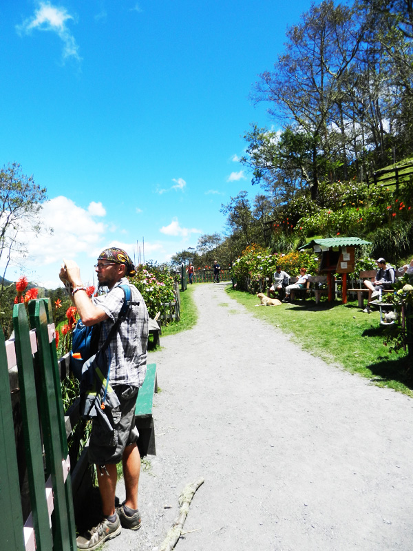 Valle de Cocora