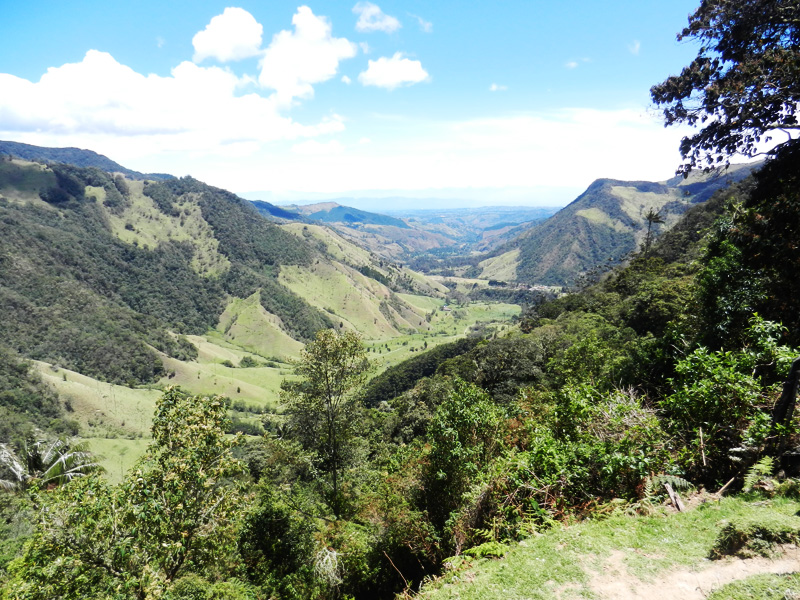 Valle de Cocora