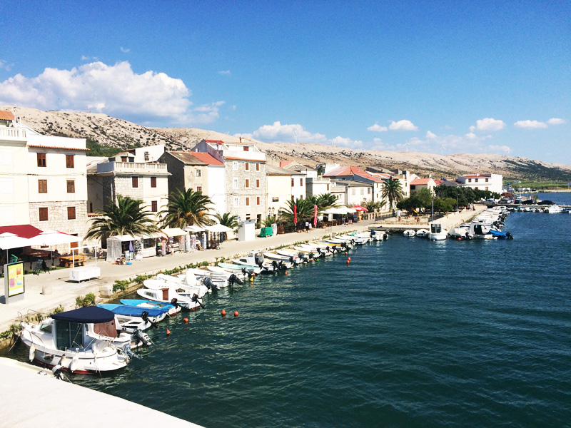 dalmatian coast