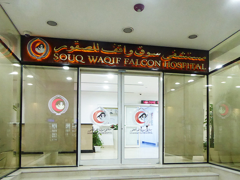 Medical Care Abroad