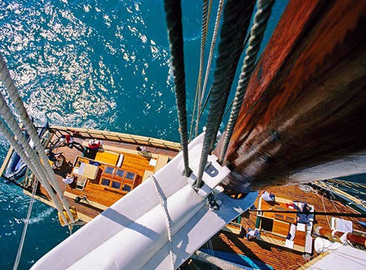 CruiseCompete