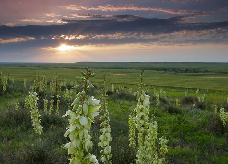 Kansas Tourism