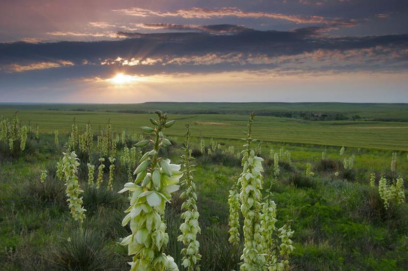 Kansas Tourism