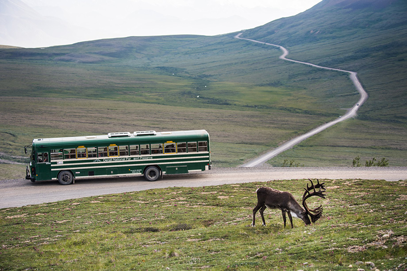 Facebook Denali National Park and Preserve
