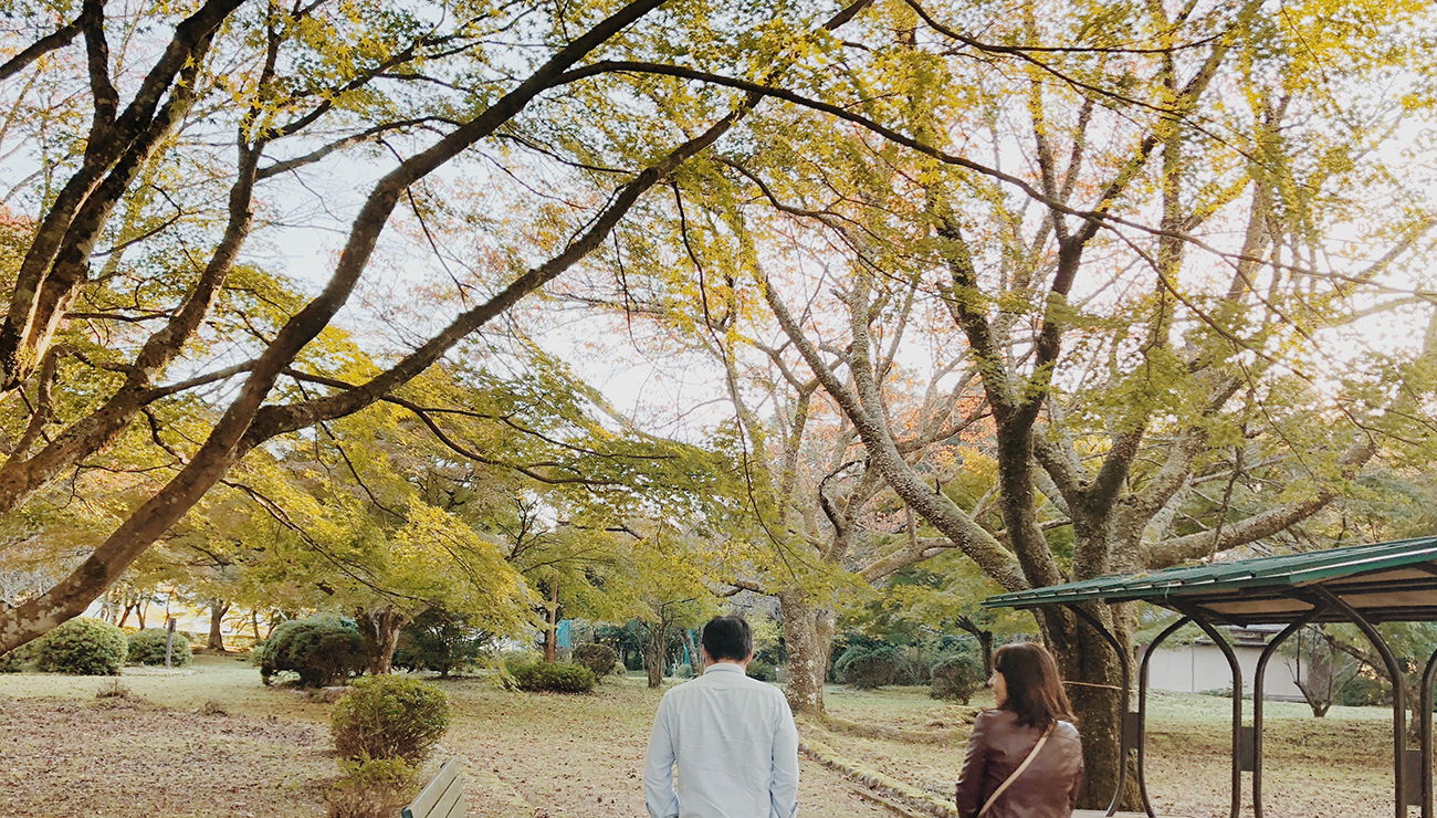 Japan Diaries