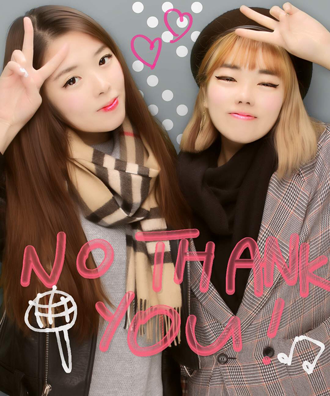 Japan Diaries