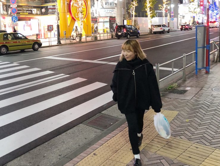 Japan Diaries