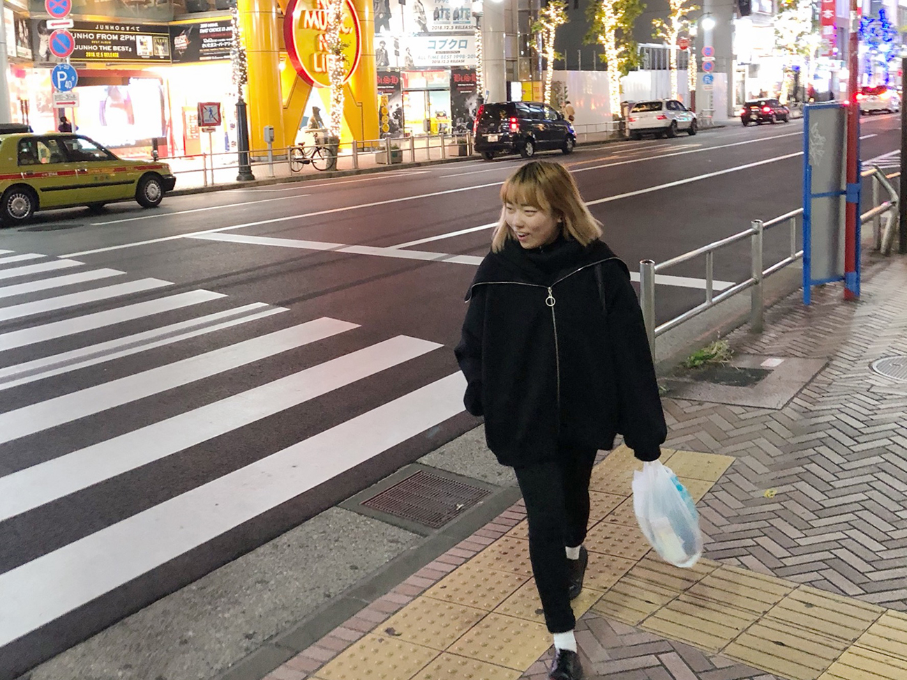 Japan Diaries
