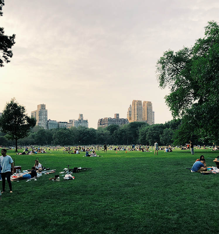 Central Park, NYC.
