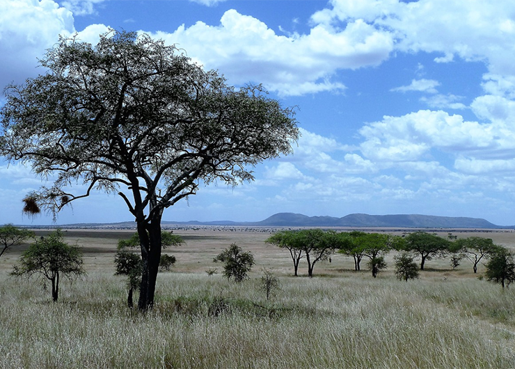 Tanzania