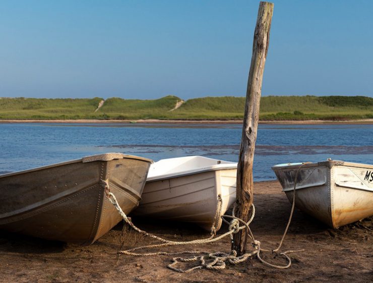 Martha's Vineyard Online