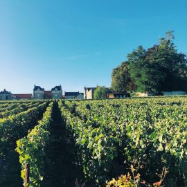 Champagne F.Bergeronneau-Marion