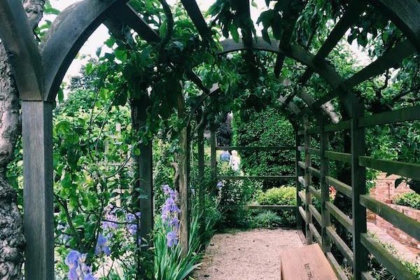 LONDON GARDEN