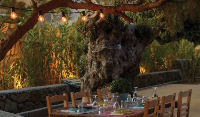 Farma Mykonos