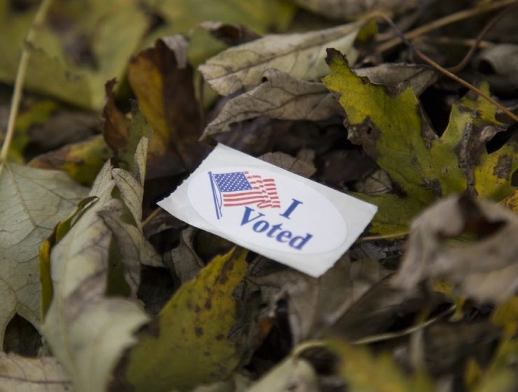 vote