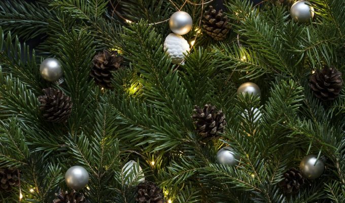 holiday sale article cover