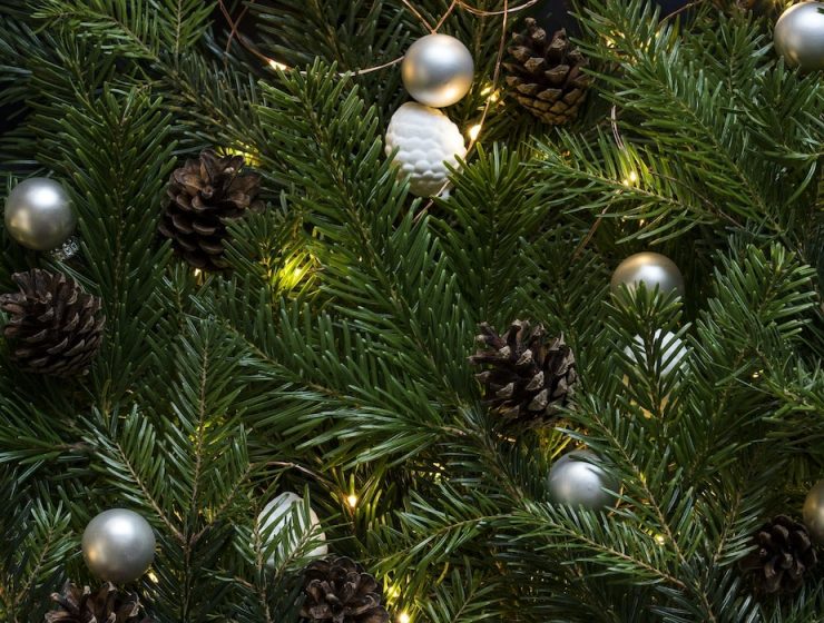 holiday sale article cover