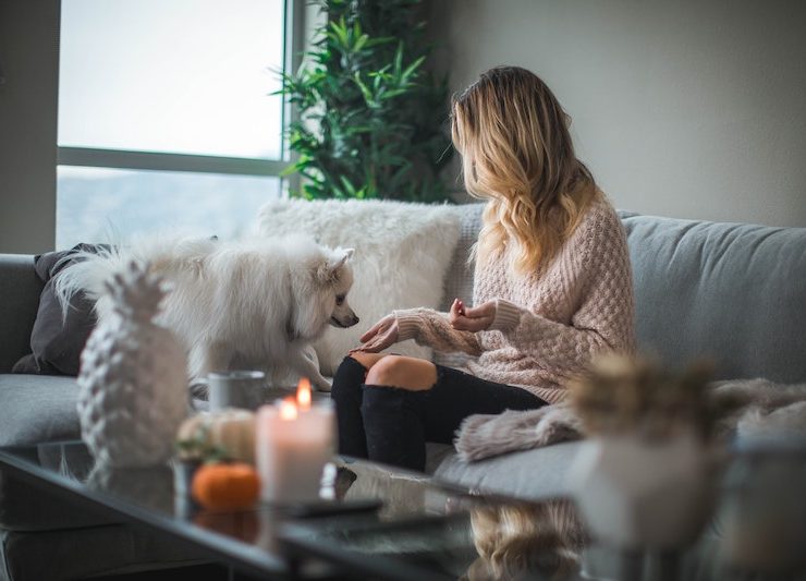 hobbies in the home