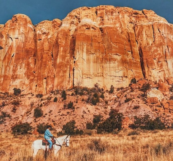new mexico